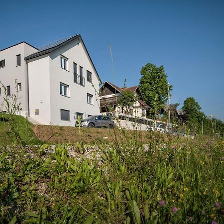 Vila Vernig Bled Ngoại thất bức ảnh